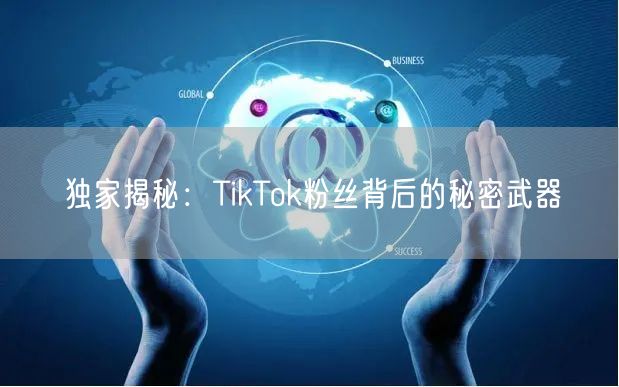 独家揭秘：TikTok粉丝背后的秘密武器