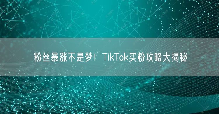 粉丝暴涨不是梦！TikTok买粉攻略大揭秘