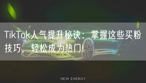 TikTok人气提升秘诀：掌握这些买粉技巧，轻松成为热门!