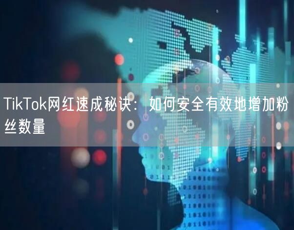 TikTok网红速成秘诀：如何安全有效地增加粉丝数量