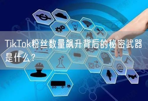 TikTok粉丝数量飙升背后的秘密武器是什么？