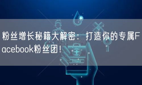 粉丝增长秘籍大解密：打造你的专属Facebook粉丝团！