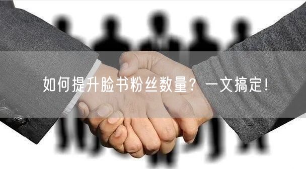 如何提升脸书粉丝数量？一文搞定！