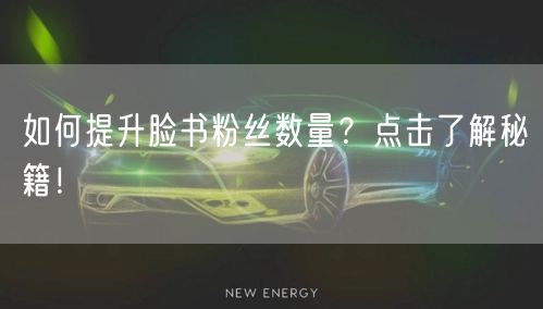 如何提升脸书粉丝数量？点击了解秘籍！