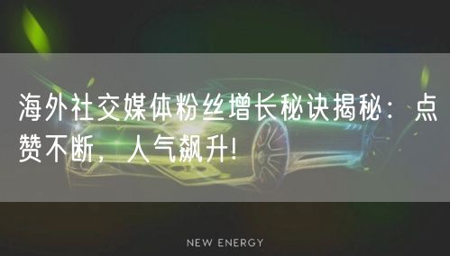 海外社交媒体粉丝增长秘诀揭秘：点赞不断，人气飙升!