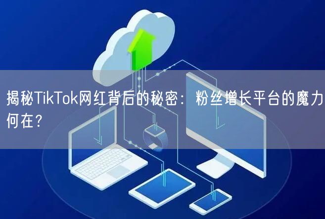 揭秘TikTok网红背后的秘密：粉丝增长平台的魔力何在？