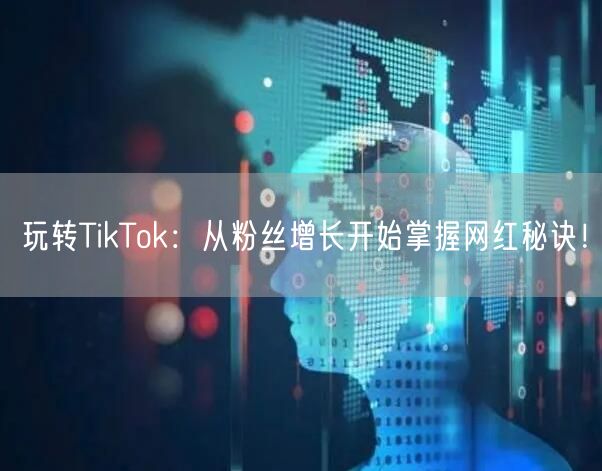 玩转TikTok:从粉丝增长开始掌握网红秘诀!