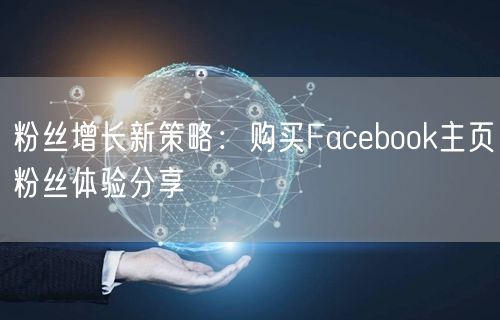 粉丝增长新策略：购买Facebook主页粉丝体验分享