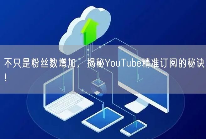 不只是粉丝数增加，揭秘YouTube精准订阅的秘诀！