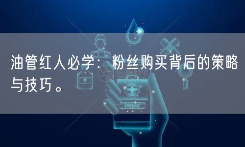 油管红人必学：粉丝购买背后的策略与技巧。