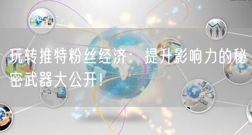 玩转推特粉丝经济：提升影响力的秘密武器大公开！