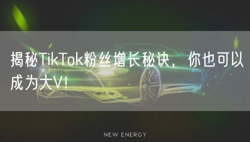 揭秘TikTok粉丝增长秘诀，你也可以成为大V！