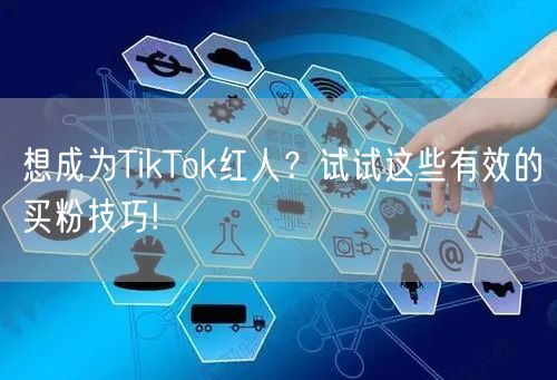 想成为TikTok红人?试试这些有效的买粉技巧!