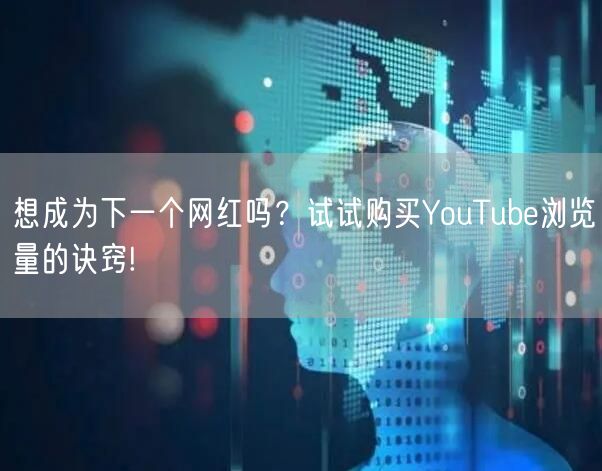 想成为下一个网红吗?试试购买YouTube浏览量的诀窍!