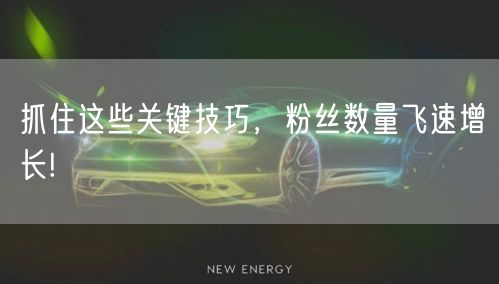 抓住这些关键技巧，粉丝数量飞速增长!