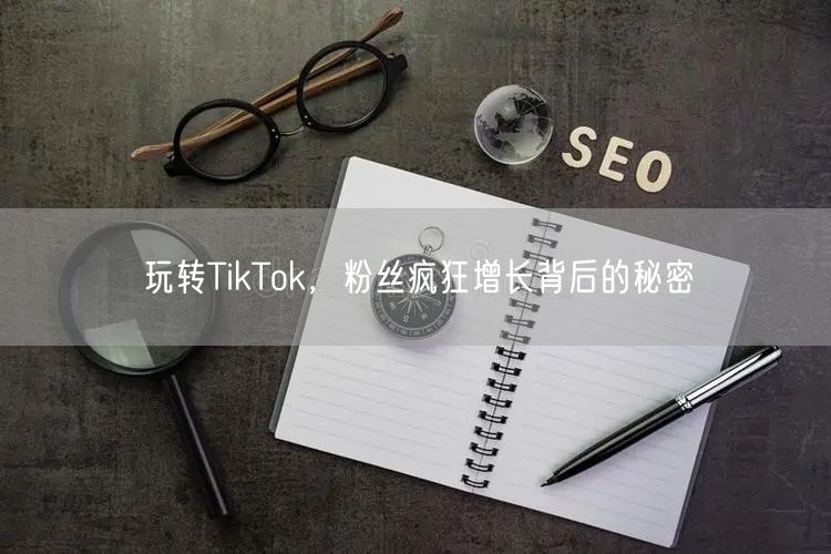 玩转TikTok，粉丝疯狂增长背后的秘密
