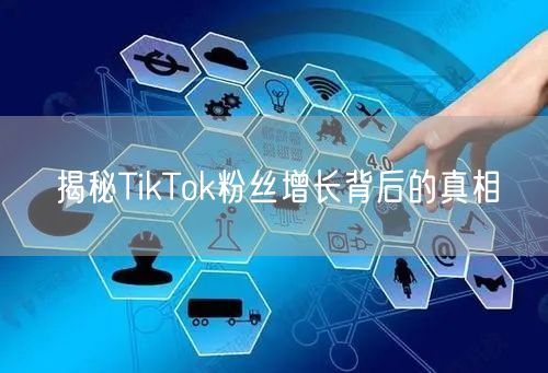 揭秘TikTok粉丝增长背后的真相